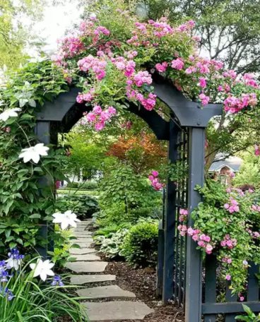 十个步骤建设你的私人花园