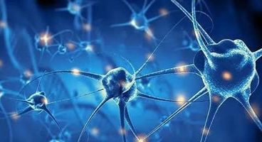 阅读活动中的被动式用户注意力管理