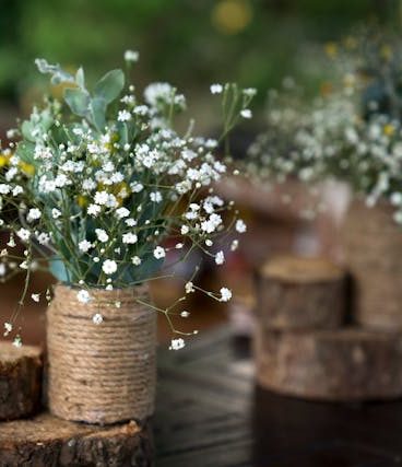 人人都能学会插花