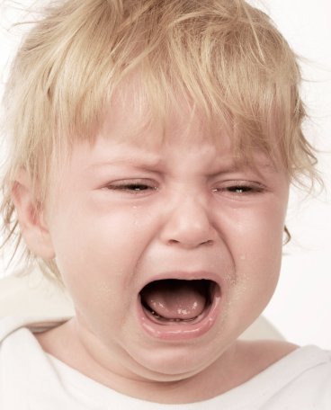 情绪的起源和演化