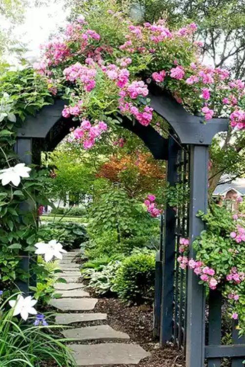 十个步骤建设你的私人花园