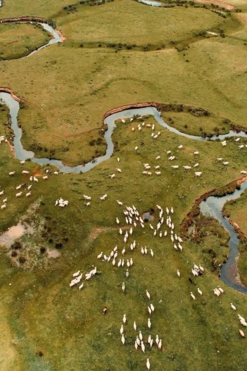 地球生命的演化