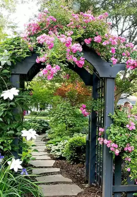 十个步骤建设你的私人花园