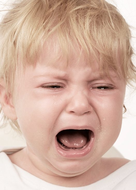 情绪的起源和演化