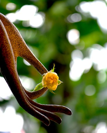 东方思想流派——佛家