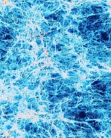 科学家首次拍下“宇宙网”