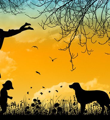 科学处理我们的性格缺陷