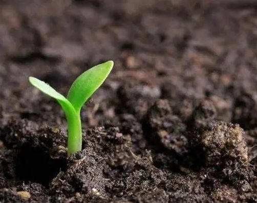 熵增中不可思议的生命现象