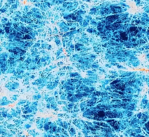 科学家首次拍下“宇宙网”