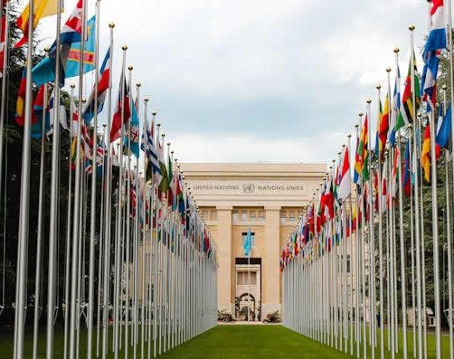 保障社会结合的条件——法律