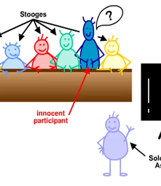 心理学实验——一致性研究