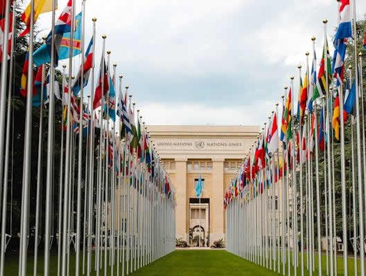 保障社会结合的条件——法律