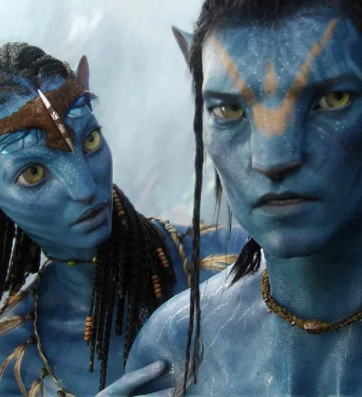 创造你的语言世界